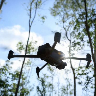 Flying drone in summer forest Flying drone in summer forest